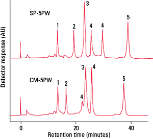 IEX_CM-5PW-Fig31.png